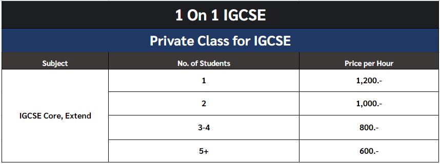 1 on 1 igcse classes - ignite a star