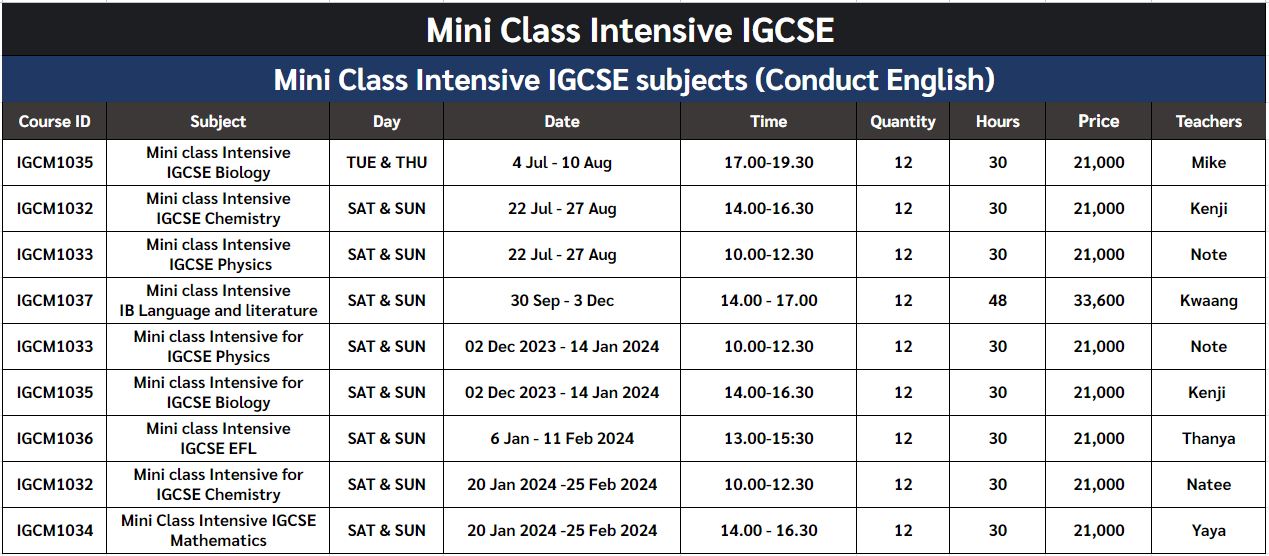 mini class igcse