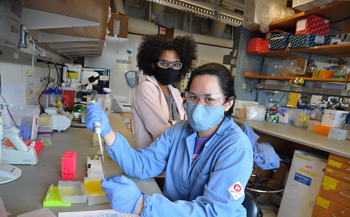 Massachusetts Institute of Technology - Biology