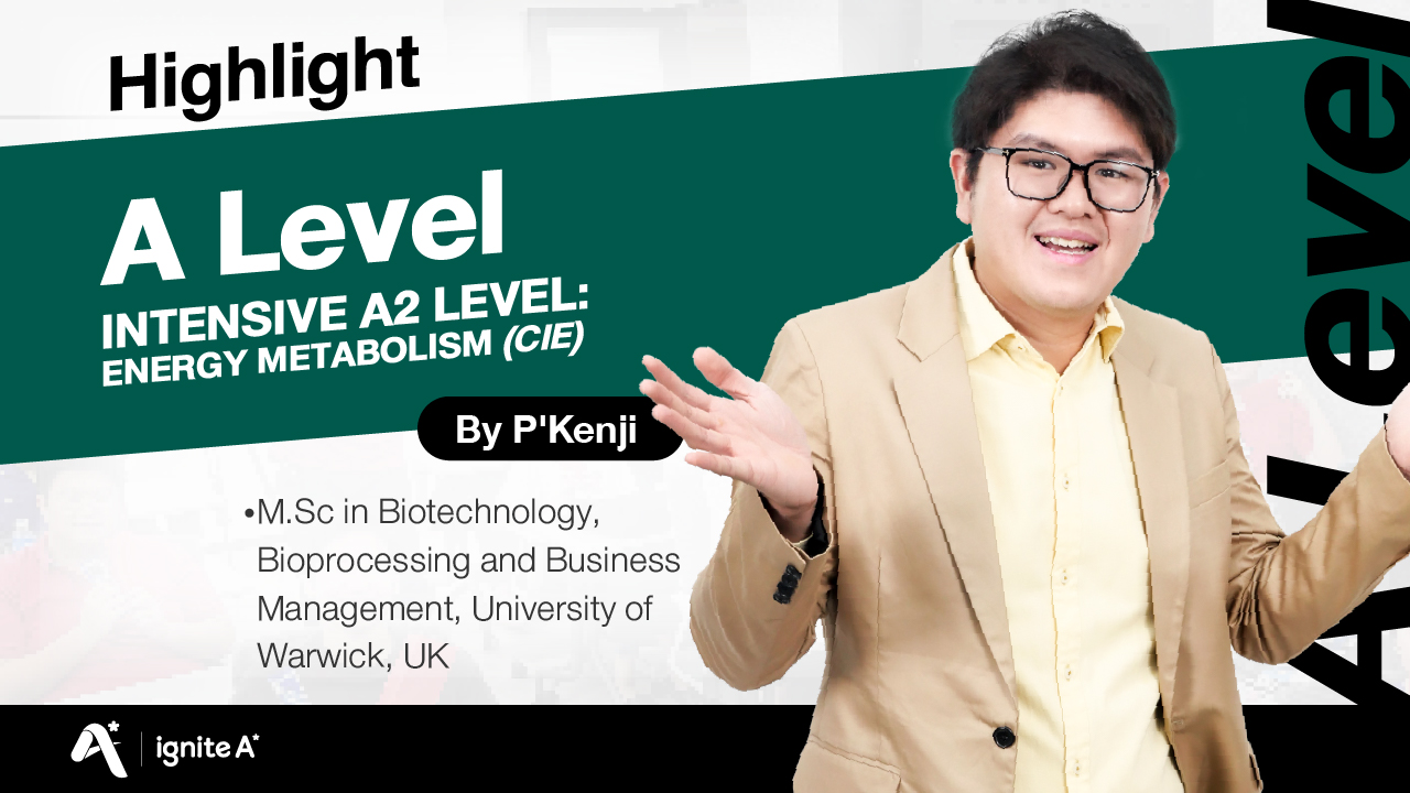 Highlight ตัวอย่างการสอนคอร์สเรียน CIE A2 Level Energy Metabolism by P’ Kenji